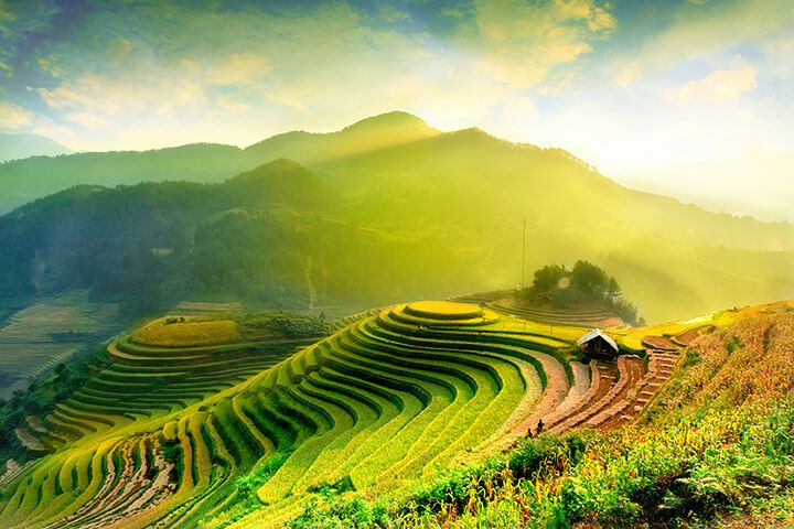 Ha Giang Harvest 