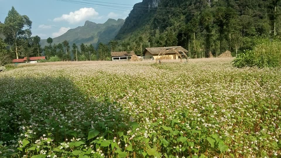 Ha Giang Loop Tours