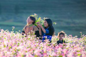 ha giang epic tour